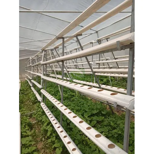 EFT-OV-50 Hydroponic Vegetable Growing System