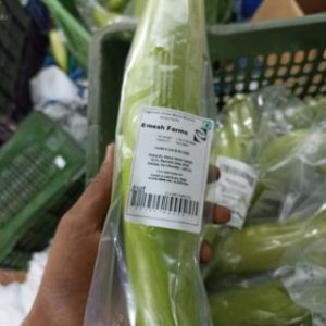 Emesh Farms- Organic Vegetable (12)