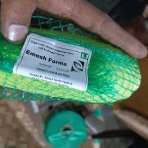 Emesh Farms- Organic Vegetable (2)
