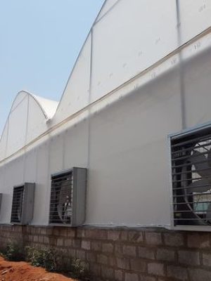 fan-and-pad-greenhouse1